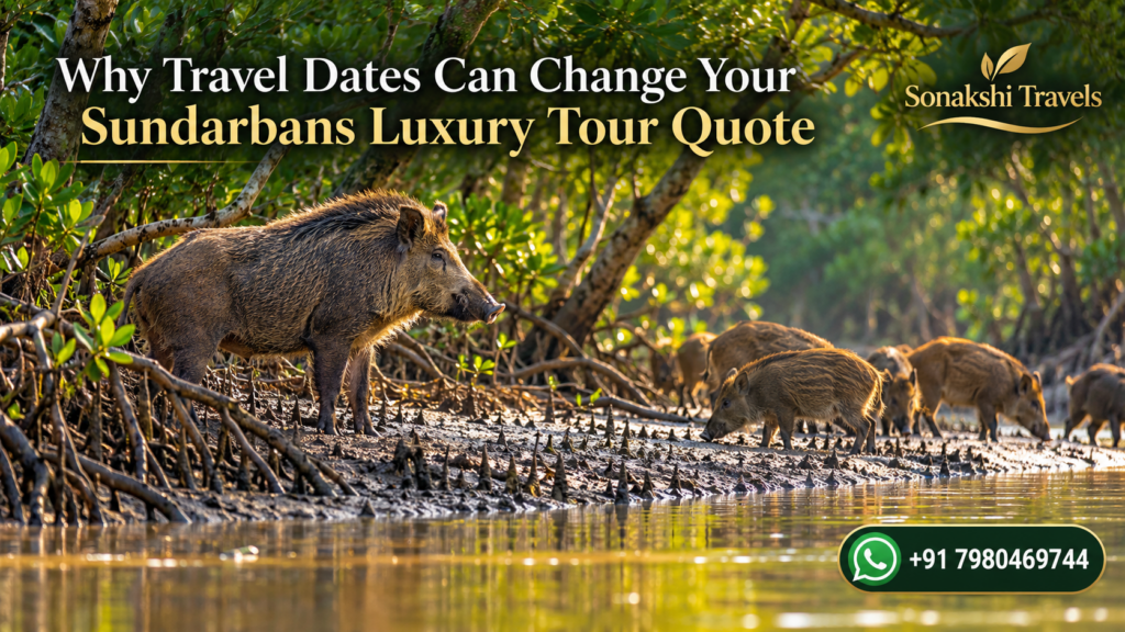 Why Travel Dates Can Change Your Sundarbans Luxury Tour Quote